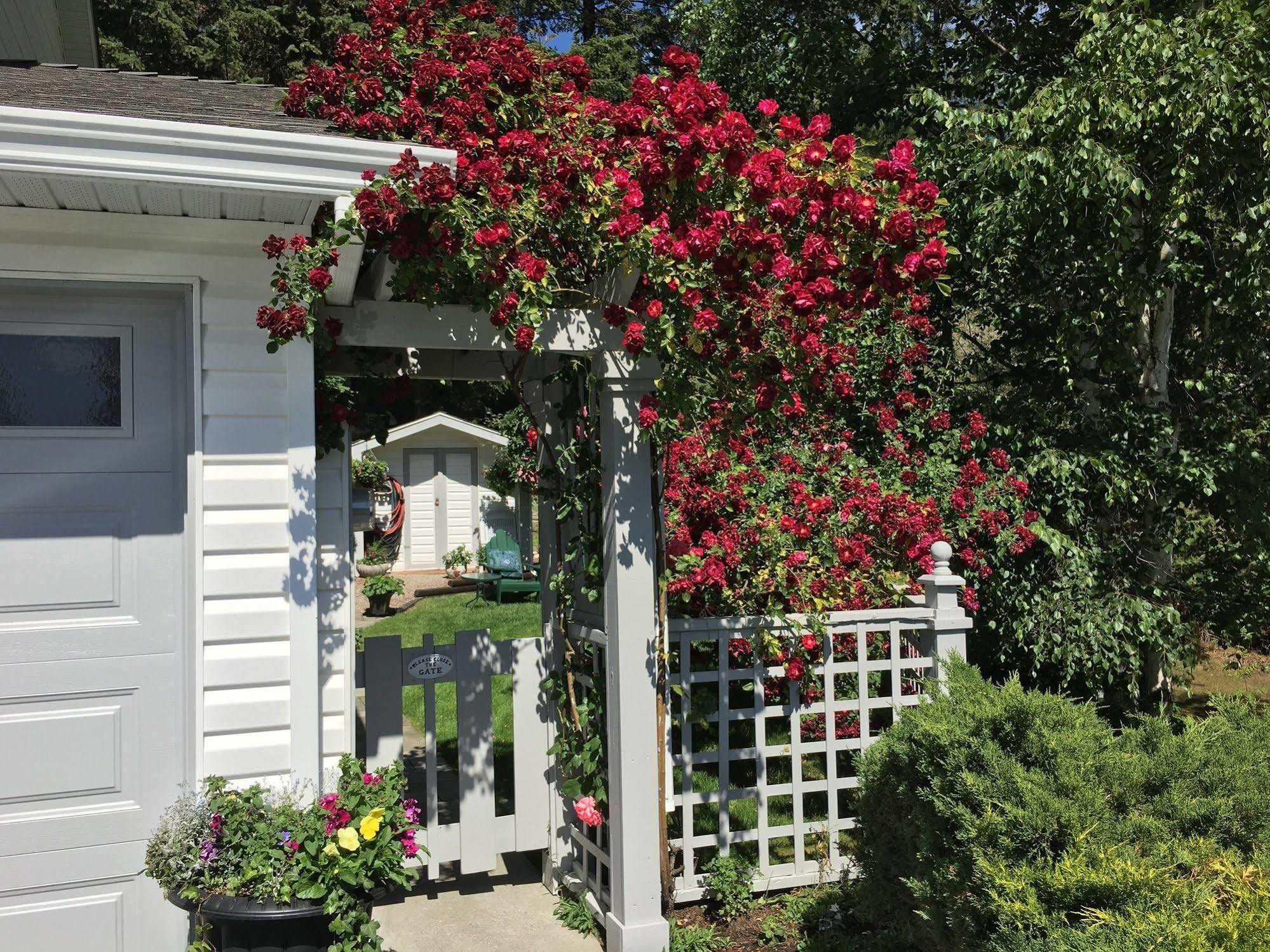 Alexandria House Bed & Breakfast West Kelowna Buitenkant foto